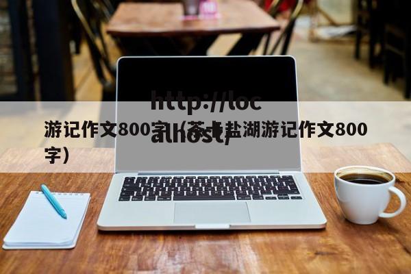 游记作文800字（茶卡盐湖游记作文800字）